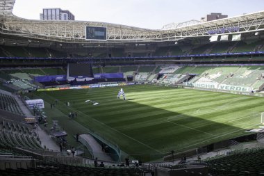 SAO PAULO - JAN 20, 209: PALMEIRAS final of the Paulista Championship at Etadio do Pacaembu, in Sao Paulo