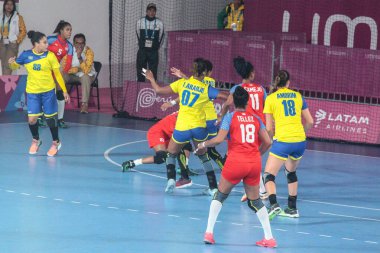 Pan Amerikan Oyunları (Panamericanos de 2019) Lima, Peru 'da çok spor müsabakaları