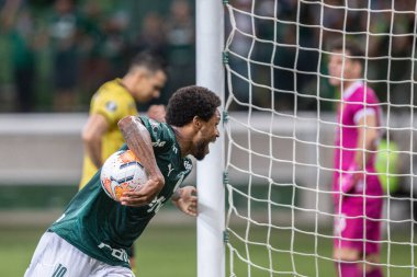 SAO PAULO - JAN 20, 209: PALMEIRAS final of the Paulista Championship at Etadio do Pacaembu, in Sao Paulo