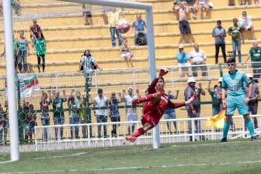 SAO PAULO - JAN 20, 209: PALMEIRAS final of the Paulista Championship at Etadio do Pacaembu, in Sao Paulo