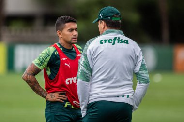 SAO PAULO, SP, BRAZIL: Brezilya 'daki iki Campeonato Brasileiro Srie A takımı arasında futbol maçı