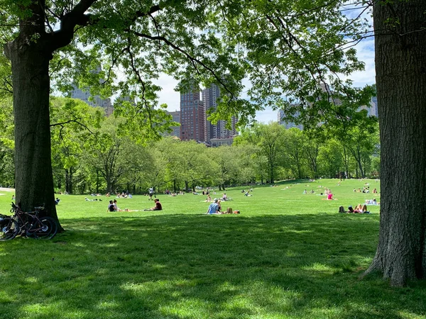Novo Covid Crowded Central Park Maio 2020 Nova York Eua — Fotografia de Stock
