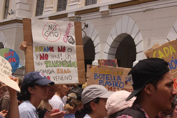 Sao Paulo 2019 People Manifest Climate — Stock Fotó