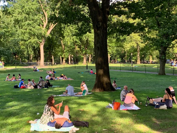 Julio 2020 Nueva York Estados Unidos Gente Haciendo Picnic Central —  Fotos de Stock