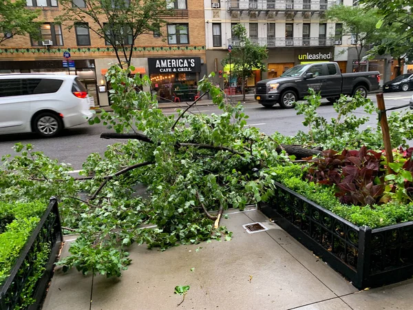 Damages Caused Tropical Storm Isaias Manhattan August 2020 New York — Stock Photo, Image
