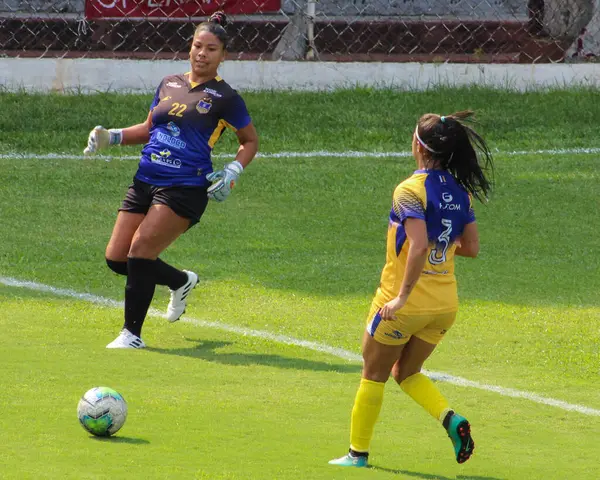 Lega Nazionale Brasiliana Calcio San Paolo Brasile Partita Calcio Campionato — Foto Stock