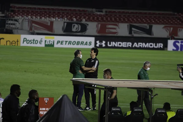 Braziliaanse Nationale Voetbal Liga Sao Paulo Brazilië Voetbalwedstrijd Braziliaans Kampioenschap — Stockfoto