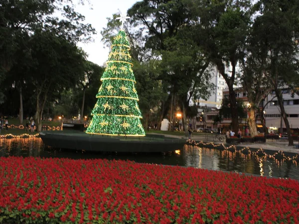 Curitiba 2019 Christmas Decoration Decoração Natal Praca Santos Andrades Com — Fotografia de Stock