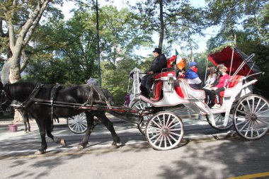 10 Ekim 2020, Central Park, New York, ABD: New York 'taki Central Park At Arabası Turları geri döndü ama Covid-19 salgını yüzünden hala az sayıda müşterimiz var. (Fotoğraf: Niyi Fote / TheNews2 / Deposi