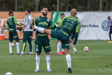 SAO PAULO - JAN 20, 209: PALMEIRAS final of the Paulista Championship at Etadio do Pacaembu, in Sao Paulo