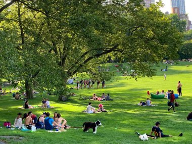 26 Temmuz 2020, New York, ABD: İnsanlar Central Park 'ta Coronavirus salgınının yeniden başladığı safhalarda piknik yaparken görülüyor. İyi hava buna katkıda bulunuyor ve insanlar spor yaparken ve eğlenirken de görülüyorlar. (Fotoğraf: Niyi Fo