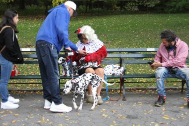 NOVA YORK (EUA), 05 / 02 / 2021 - MOVIMENTACAO CENTACAO PARK - Com a rescaldo da nevasca do dia anterior, nova-iorquinos e turistas sao vistos se divertindo se Central Park. Criancas fazendo snowboard, pessoas andando de carruagem, fazendo boneco de neve