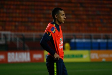 SAO PAULO - SEPT 04, 2019: BRAZILIAN SELECTION TRAINING. trains before the friendly against Colombia, at Estadio do Pacaembu