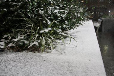 16 Aralık 2020, New York, ABD: Şiddetli kar yağışı bu akşam New York 'u vurdu, araçlara, çöplere ve toprağa kar taneleri bıraktı ve yayalar için kolay geçişi zorlaştırdı. Karların artması ve ertesi güne kadar devam etmesi bekleniyor. (Fotoğraf: Niyi 