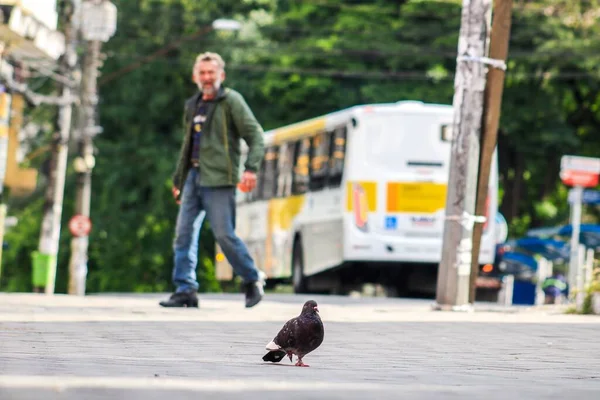 Guarulhos Sao Paulo Januar 2020 Während Einer Pandemie Covid 2019 — Stockfoto