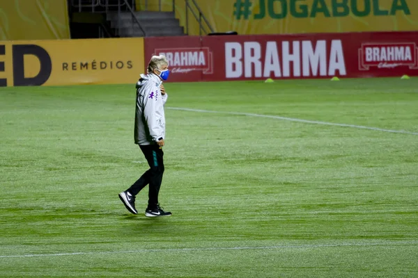 Brasilianische Fußballliga Sao Paulo Brasilien Fußballspiel Brasilianische Meisterschaft — Stockfoto