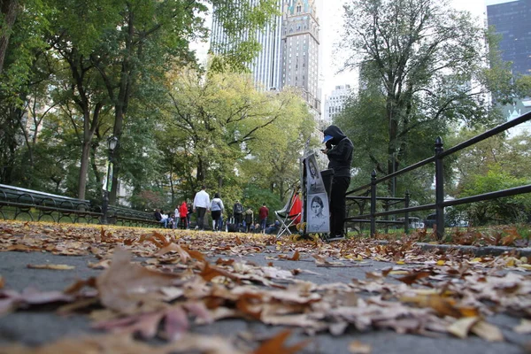 2020年10月24日 アメリカ ニューヨーク 秋の季節になると セントラルパークや子供たちに花が咲き 人々はその遊びや楽しみを利用しています Niyi Fote Thenews2 預金写真 — ストック写真