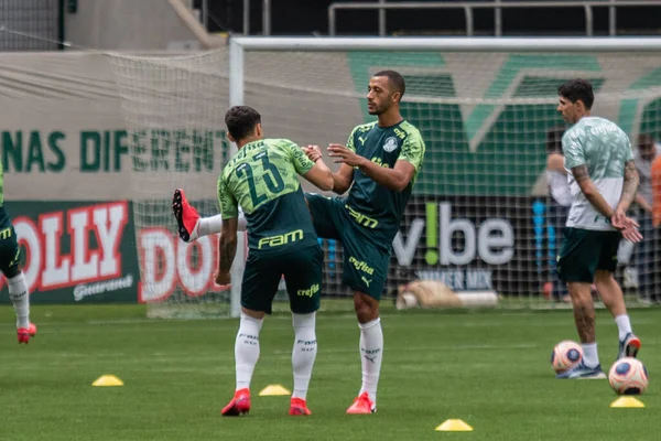 Sao Paulo - 12 Şubat 2020: Sentetik çimenlikte antrenman sırasında PALMEIRAS oyuncularının eğitilmesi.