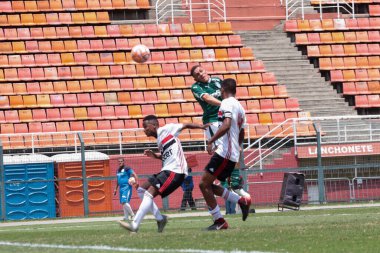 SAO PAULO - JAN 20, 209: PALMEIRAS final of the Paulista Championship at Etadio do Pacaembu, in Sao Paulo