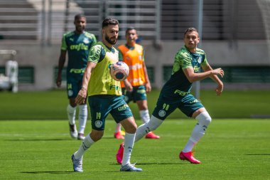 Sao Paulo - 12 Şubat 2020: Sentetik çimenlikte antrenman sırasında PALMEIRAS oyuncularının eğitilmesi.