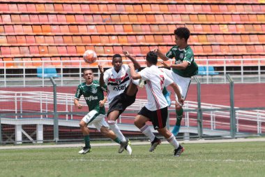 SAO PAULO - JAN 20, 209: PALMEIRAS final of the Paulista Championship at Etadio do Pacaembu, in Sao Paulo