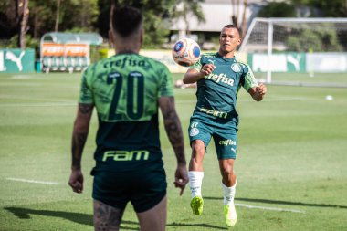 SAO PAULO - JAN 20, 209: PALMEIRAS final of the Paulista Championship at Etadio do Pacaembu, in Sao Paulo