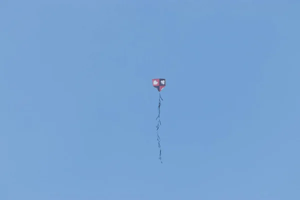 Covid 检疫期间放风筝 2020年5月21日 巴西圣保罗 在圣保罗南部的卡波雷东多地区 由于检疫原因 放风筝时不要戴面具和保持距离 — 图库照片