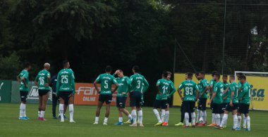 SAO PAULO - JAN 20, 209: PALMEIRAS final of the Paulista Championship at Etadio do Pacaembu, in Sao Paulo