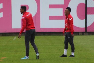 Pan Amerikan Oyunları (Panamericanos de 2019) Lima, Peru 'da çok spor müsabakaları