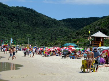 FLORIANOPOLIS, SC, 17.01.2020 - MOVIMENTACAO JURthe-INTERNACIONAL - Praia de Jurere Internacional Hareketi Florianopolis 'in kuzeyinde yer almaktadır. 