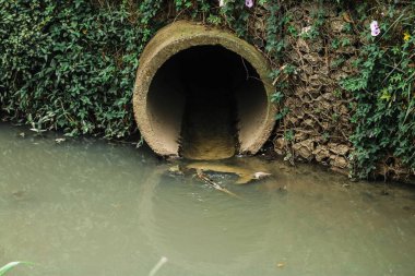 GuARULHOS, Sao Paulo - 11 Ocak 2020: bir salgın sırasında COVID 2019
