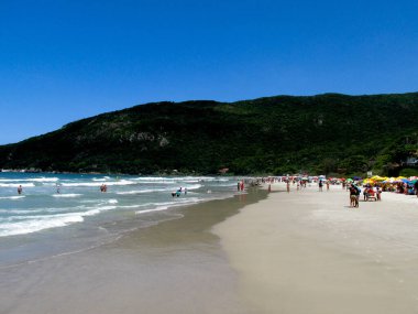 FLORIANOPOLIS, SC, 24.01.2020 - Praia Matadeiro sahilinde insan hareketi