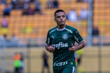 SAO PAULO, SP, BRAZIL: Brezilya 'daki iki Campeonato Brasileiro Srie A takımı arasında futbol maçı