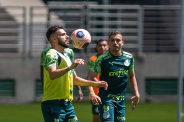 Sao Paulo - 12 Şubat 2020: Sentetik çimenlikte antrenman sırasında PALMEIRAS oyuncularının eğitilmesi.