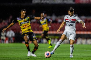 SAO PAULO - January 08, 2020: TRAINING THE PALMEIRAS TEAM The Palmeiras football squad conducts training aimed at the first commitment of the year