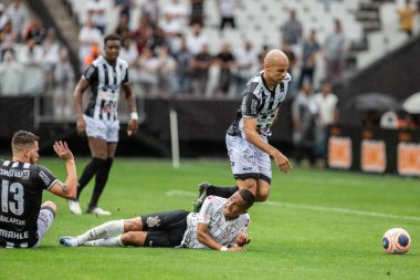 SAO PAULO, SP, 29.01.2020. PAULISTA Şampanyası 2020 - PALMEIRAS X OESTE