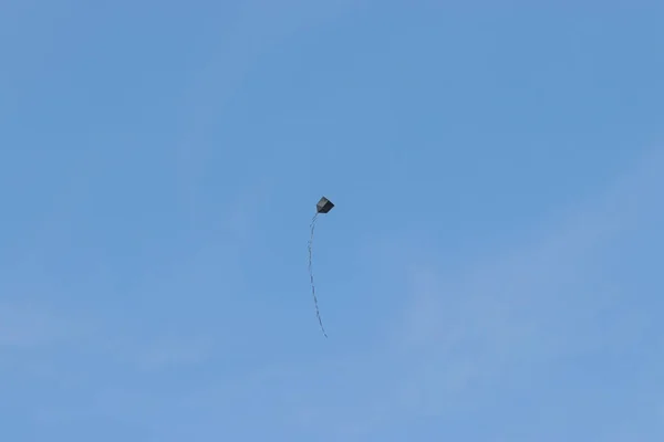 Covid Flying Kite Quarantine 브라질 파울로 2020 사이오 남부의 카파오 — 스톡 사진