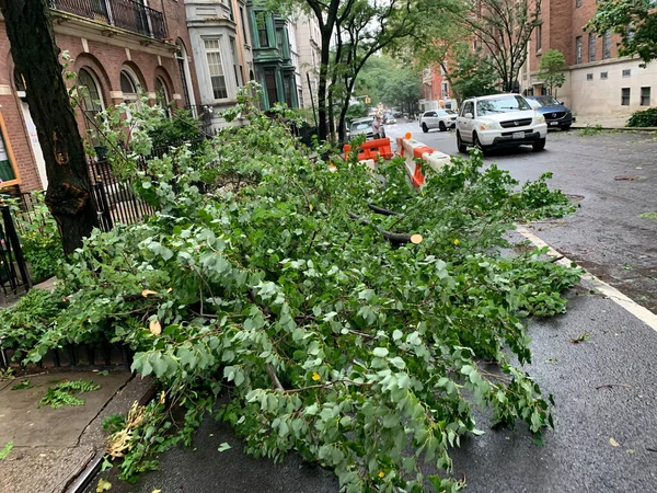 Damages Caused Tropical Storm Isaias Manhattan August 2020 New York — Stock Photo, Image