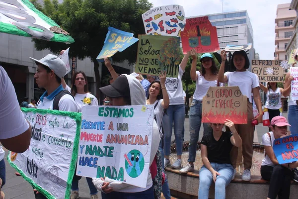 Sao Paulo 2019 Manifestación Personas Por Clima — Foto de Stock
