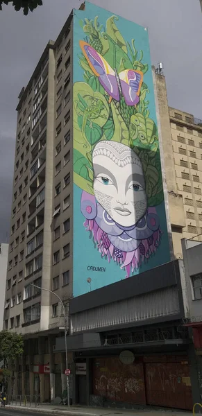 Januari 2021 Sao Paulo Brazilië Graffiti Zien Muren Rua Consolacao — Stockfoto