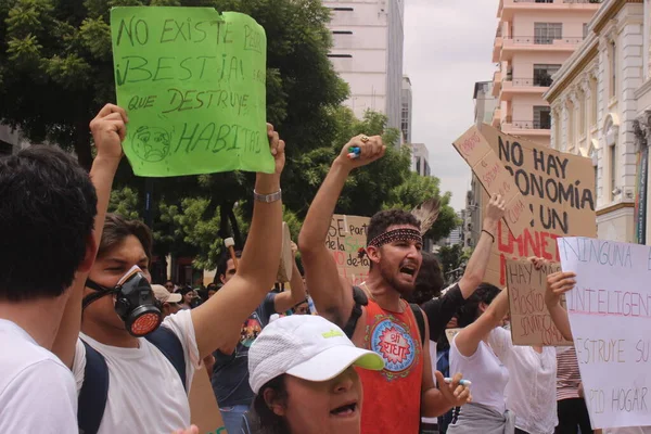 Sao Paulo 2019 People Manifest Climate — 스톡 사진