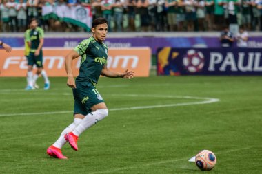 Sao Paulo - 12 Şubat 2020: Sentetik çimenlikte antrenman sırasında PALMEIRAS oyuncularının eğitilmesi.