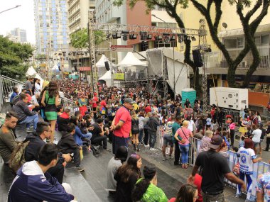 Rio de Janeiro - RJ, 25 / 02 / 2020 - Escola de samba Salgueiro, Brezilya karnavalı 