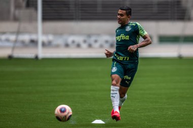 Sao Paulo - 12 Şubat 2020: Sentetik çimenlikte antrenman sırasında PALMEIRAS oyuncularının eğitilmesi.