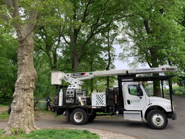 NOVA YORK (EUA), 05 / 02 / 2021 - MOVIMENTACAO CENTACAO PARK - Com a rescaldo da nevasca do dia anterior, nova-iorquinos e turistas sao vistos se divertindo se Central Park. Criancas fazendo snowboard, pessoas andando de carruagem, fazendo boneco de neve