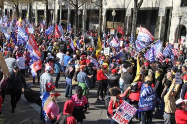 Sao Paulo Kart Granja Viana Kupası. 14 Kasım 2020: Cotia, Sao Paulo, Brezilya: Sao Paulo Kart Granja Viana Kupası Brezilya 'nın en büyük bölgesel kart şampiyonası.  