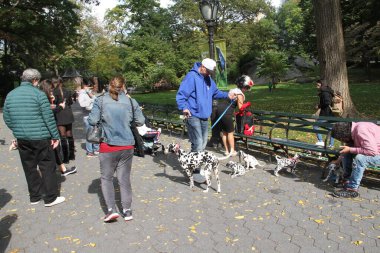 NOVA YORK (EUA), 05 / 02 / 2021 - MOVIMENTACAO CENTACAO PARK - Com a rescaldo da nevasca do dia anterior, nova-iorquinos e turistas sao vistos se divertindo se Central Park. Criancas fazendo snowboard, pessoas andando de carruagem, fazendo boneco de neve
