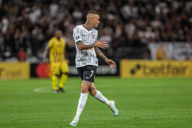 SAO PAULO, SP, BRASIL - Sao Paulo, Brezilya 'da Yaşam Sahnesi