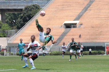SAO PAULO, SP 18.11.2019 - Sao Paulo, Brezilya 'daki yaşam sahnesi