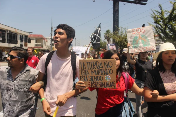 Guayaquil Ecuador 2019 Grupos Ambientalistas Protestam Enfrente Embaixada Brasil Grupos — Foto Stock